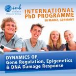 Гранты (стипендии) для участия в международной PhD-программе в Германии 
